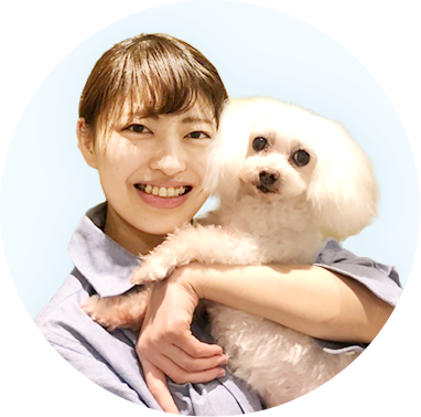 獣医監修 犬のヒート 生理 はいつからいつまで ヒート期間中の体調や出血量 避妊手術の必要性を解説します 楽天保険の総合窓口