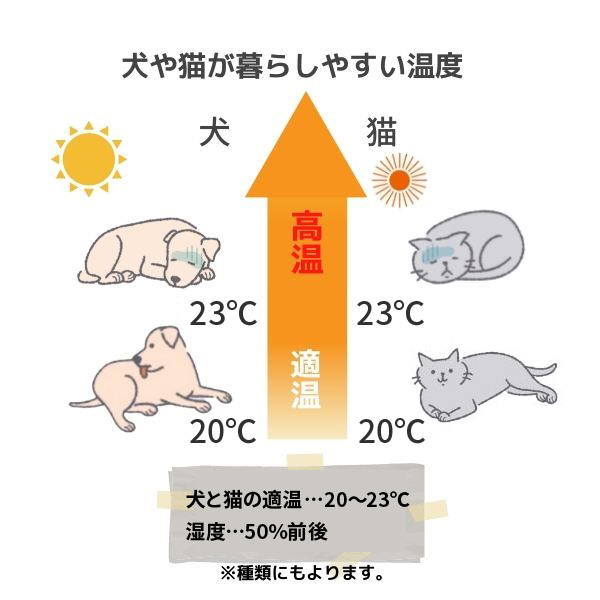 犬や猫が暮らしやすい温度